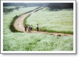 Northwest destinations