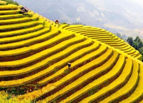 Best time to visit Northwest Vietnam