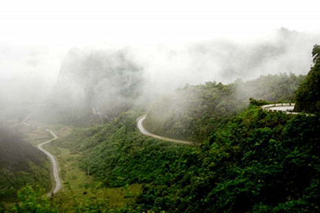 Gio pass Gio pass